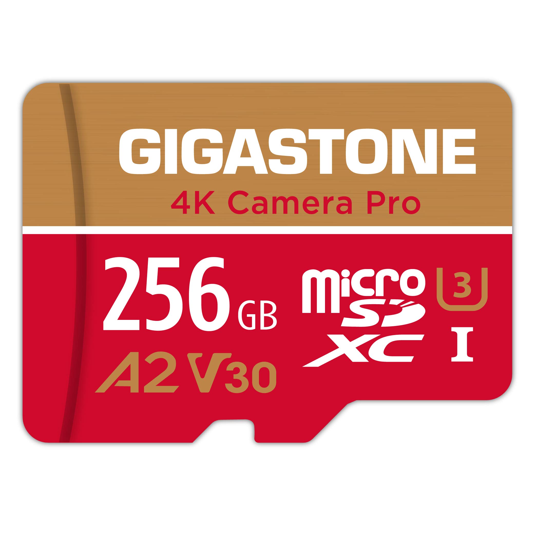 5-Yrs Free Data Recovery GIGASTONE 256GB Micro SD Card for 4K Camera Pro Users, Action Cams, Up to 100MB/s Speed